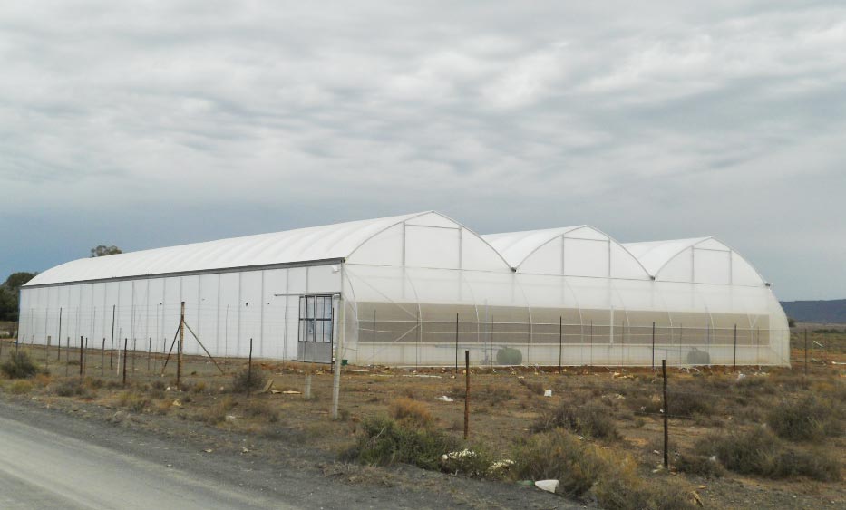 Greenhouse-3